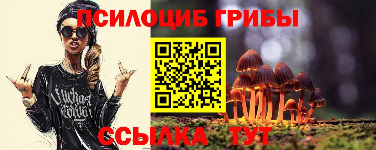 Анапа  Псилоцибиновые грибы Psilocybe  цена   Вход с VPN 