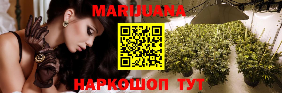 Конопля конопля Анапа